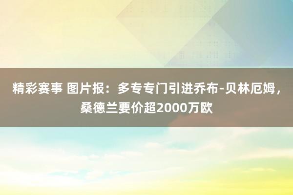 精彩赛事 图片报：多专专门引进乔布-贝林厄姆，桑德兰要价超2000万欧