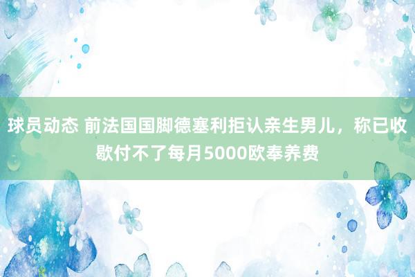 球员动态 前法国国脚德塞利拒认亲生男儿，称已收歇付不了每月5000欧奉养费