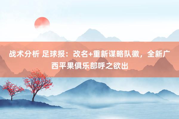 战术分析 足球报：改名+重新谋略队徽，全新广西平果俱乐部呼之欲出