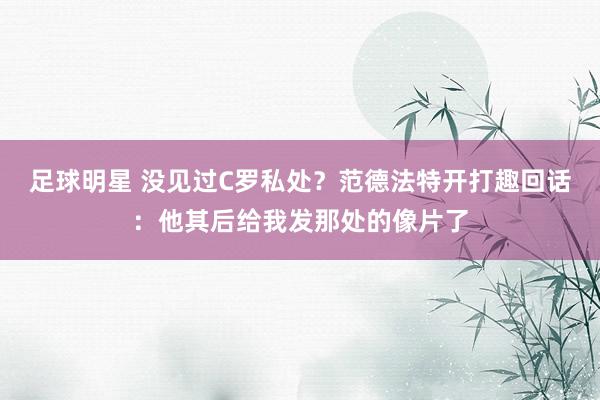 足球明星 没见过C罗私处？范德法特开打趣回话：他其后给我发那处的像片了