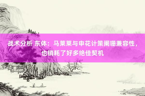 战术分析 东体：马莱莱与申花计策阑珊兼容性，也销耗了好多绝佳契机