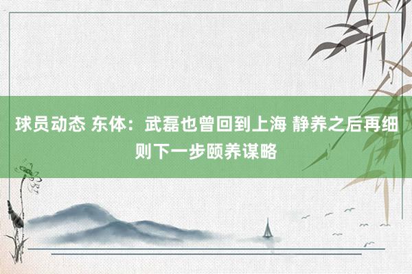 球员动态 东体：武磊也曾回到上海 静养之后再细则下一步颐养谋略