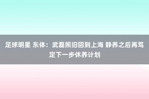 足球明星 东体：武磊照旧回到上海 静养之后再笃定下一步休养计划